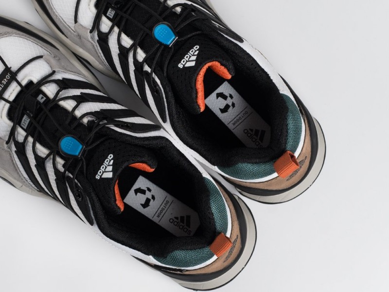 Adidas Terrex Swift R2 GTX